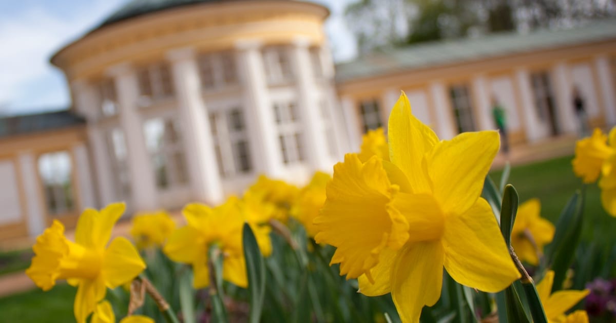 Marienbad liegt mittendrin — kein Flug, kein Stress, kein Umweg