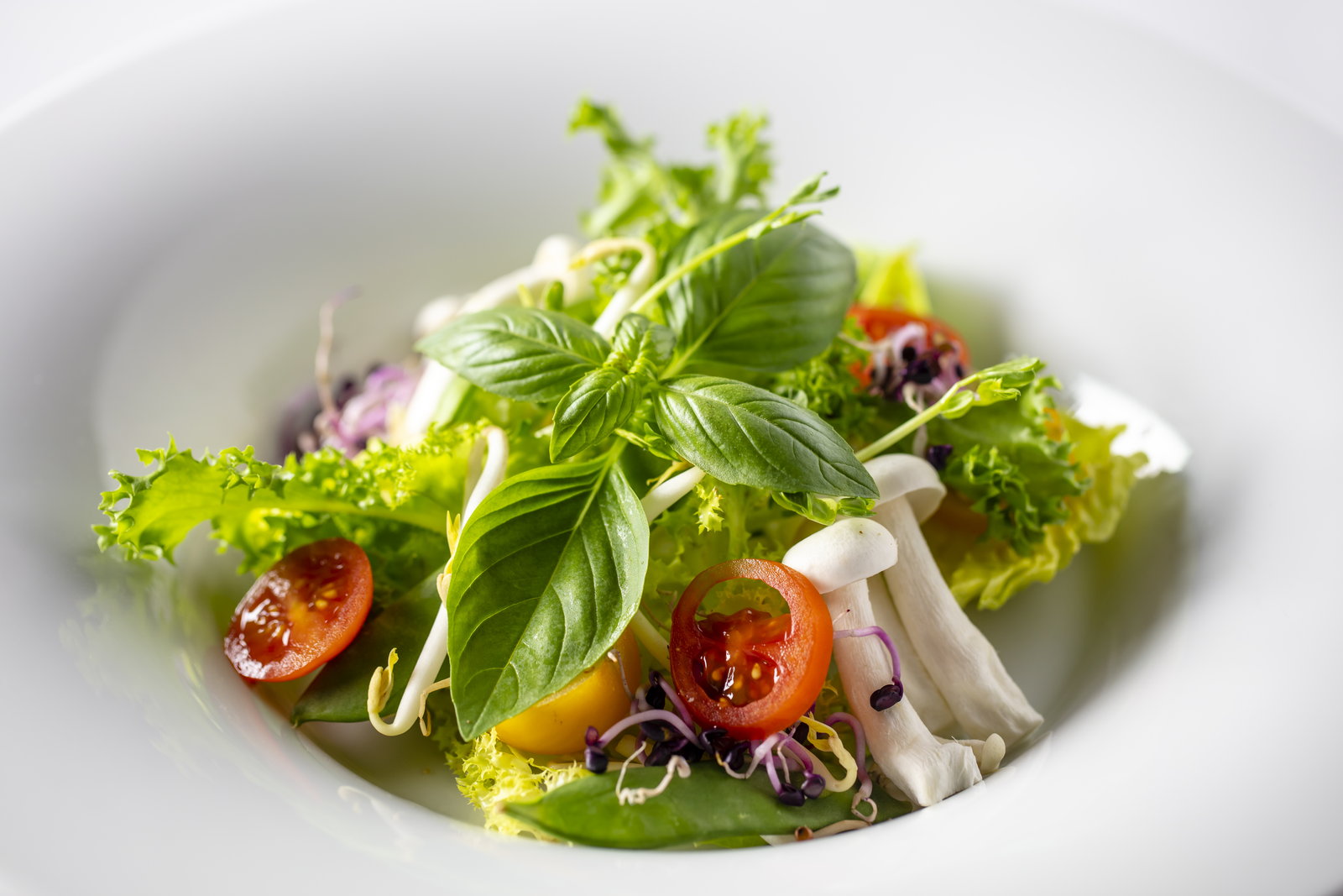 A composed salad of frisée lettuce, cherry tomatoes, enoki mushrooms, basil and sprouts in a white bowl.