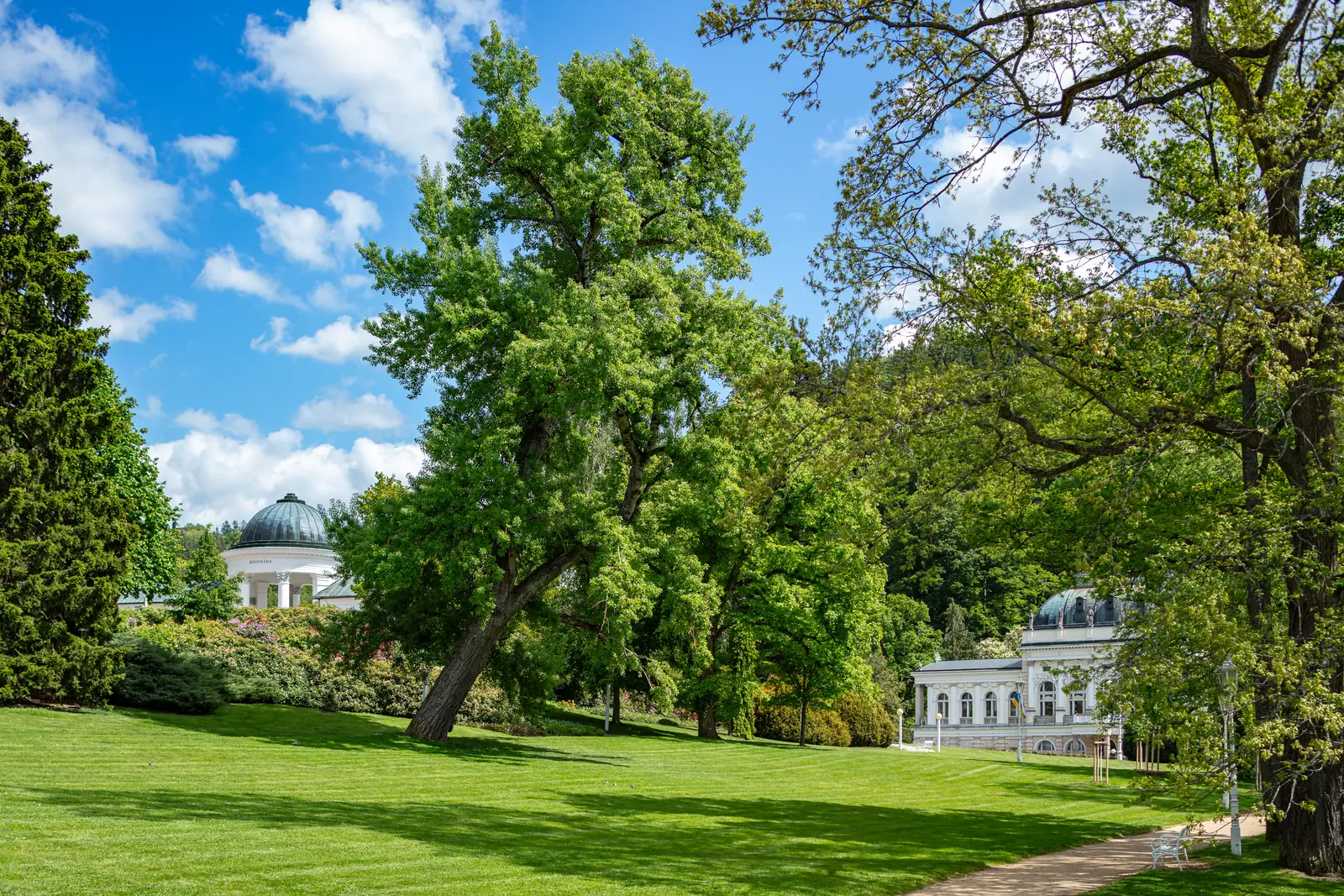The spa park with mature trees and a pavilion dome, wooded slopes behind