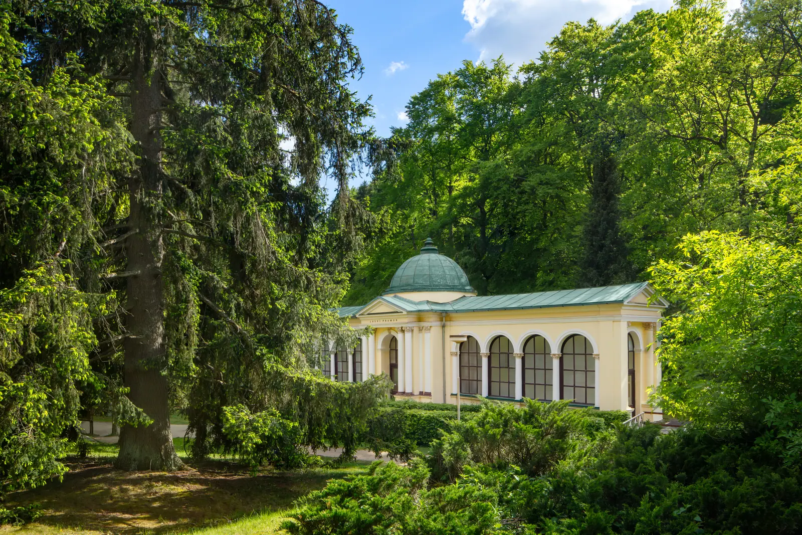 Forest Spring pavilion with a green dome among tall spruces and broadleaf trees