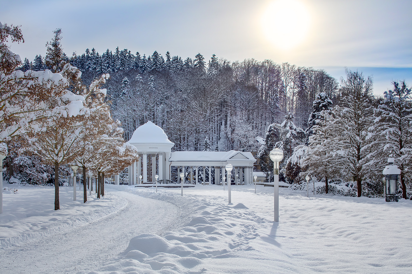 A Doctor's Word: the Rudolph Spring, Marienbad's calcium and magnesium water