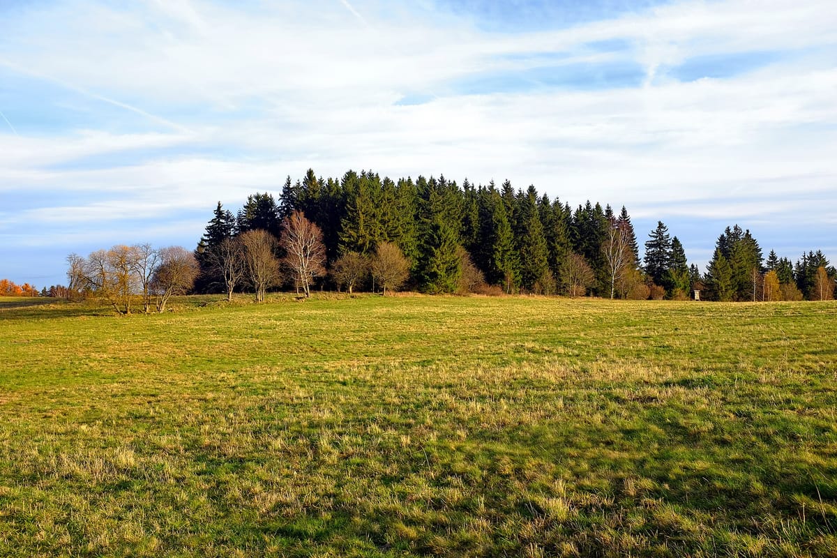 Rozhledna Krásno