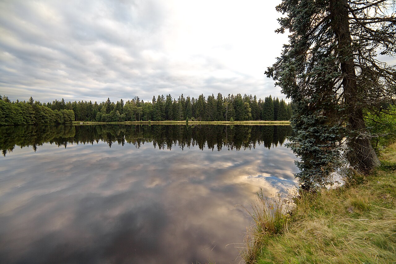 Mýtský rybník